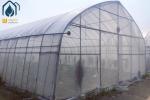 OEM Easily Assembled Tunnel Greenhouse Small Vegetables Farming Greenhouse