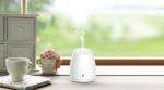 Home Appliance 100ml Ultrasonic Aroma Diffuser And Humidifier
