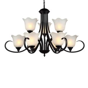 Quality Rot Black iron chandeliers for farmhouse hotel lighting fixtures (WH-CI-94) wholesale