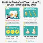 Stimulation Right Brain Training Flash Cards , Brush Teeth Preschool Learning