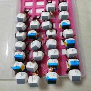 Quality Original GE VIVIDS5 Phased Array Ultrasound Probe Crystals 3SC-RS Fully Tested wholesale