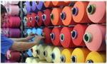 The Professional Socks For Indoor Trampoline Sports Professional Cotton