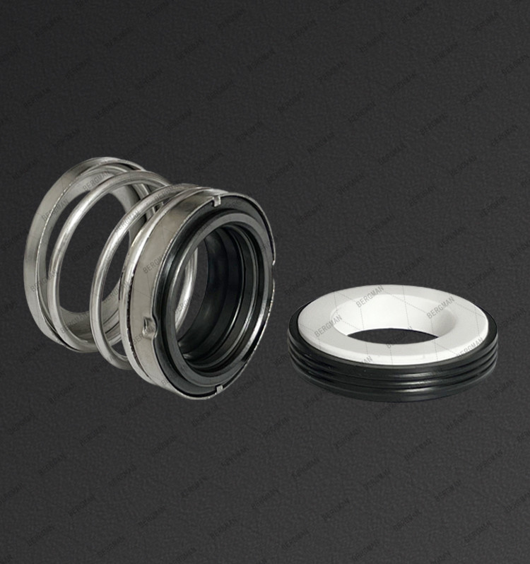 BERGMAN 560B Pump Mechanical Seal SS304 SS316 Metal