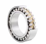 Carbon Steel NU203~NU244 110 mm Brass Cage Cylindrical Roller Bearings