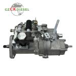 Fuel Injection Pump 4PL1155 4PL1156 BHF4PM100001 For YZ4102ZLQ 4100Q