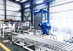 China Robot Palletizer on sale