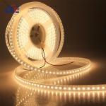 180leds 10mm High Brightness 110v220v 3000K IP67 Waterproof SMD2835 Led Strip