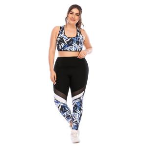 Quality Plus Size Yoga 2 Pcs Sets Shockproof Non See Through Sports Bra And Leggings Set wholesale