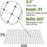 Protect Your Garden with Cutting Plastic Net Agriculture Anti Bird Net UV 25g/m2
