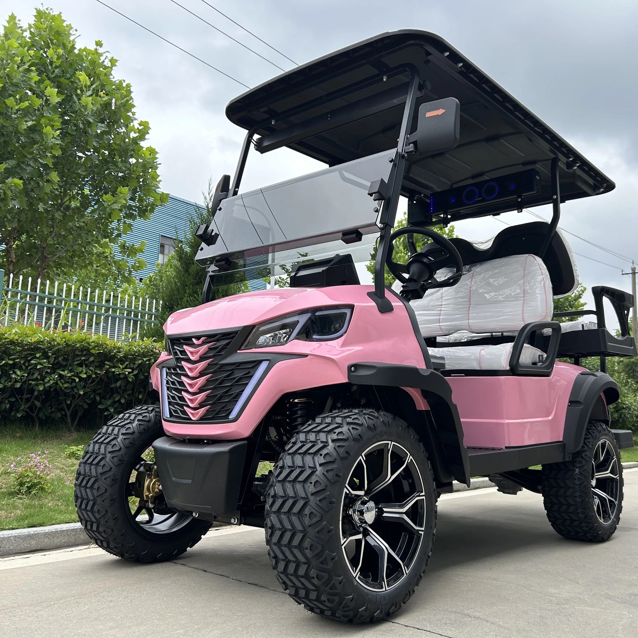 Eco-Friendly 4 Seater Golf Cart for Sustainable Business Practices