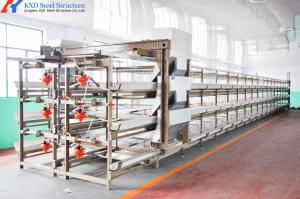 Quality 3 Tiers-10 Tiers Poultry Farm Cage Automatic Feeding Chicken House Cage wholesale