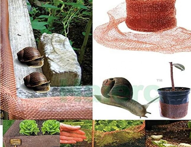 99.9% Copper Knitted Mesh Corrugate Roll Stainless Steel For Protecting Garden Plants