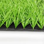 Disease Resistant Indoor Astroturf Football Pitches