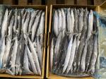 IFS High Protein #3 BQF Frozen Pacific Saury Fish