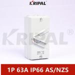 63A 1Pole IP66 Industrial Outdoor Waterproof Isolating Switch