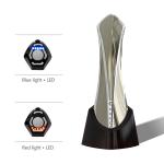 Ultrasonic RF DC12V Face Beauty Device Skin Tightening 12W