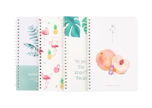 China Art diy Spiral Bound Book custom spiral binding book printing on sale