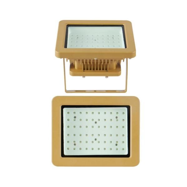 Explosion Proof Emergency Light 120 Volt 100 Watt With 80-83Ra 50000 Hours