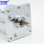 60mm Gearbox 12V 24v Rs-555sh Dc Spur Gear Motor For Rotisserie 10Rpm