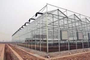 Quality Section 4m Commercial Glass Greenhouse Exquisite Beautiful Galvanized Steel Frame wholesale