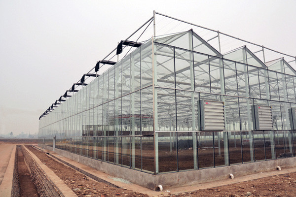 Sound Insulating Commercial Glass Greenhouse Good Display Effect Beautiful Appearance