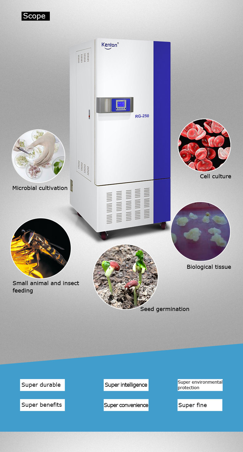 220V Temperature Conditioning Chamber SUS304 Constant Temperature Test Chamber