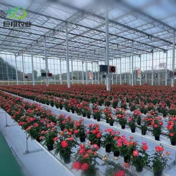 Customization Juxiang Greenhouse's Customizable Commercial Film and Glass