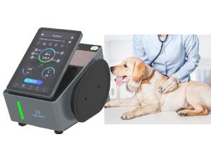 Quality 980nm Veterinary Laser Therapy Machine Four Wavelength 650nm wholesale