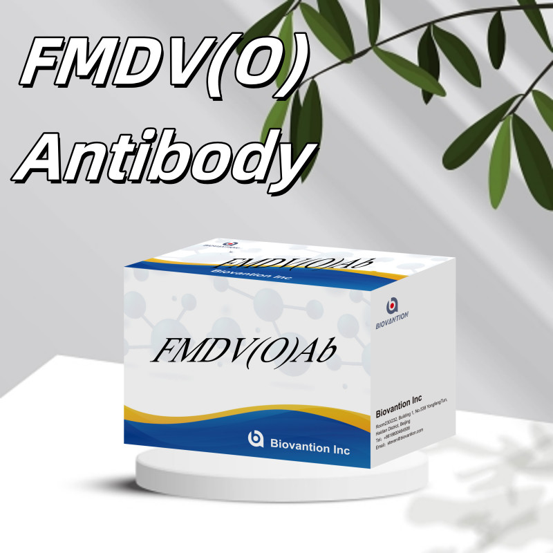 Bovine Foot And Month Disease Virus O Antibody Rapid Test Kit FMD FMDV Devastating Livestock Disease Detection