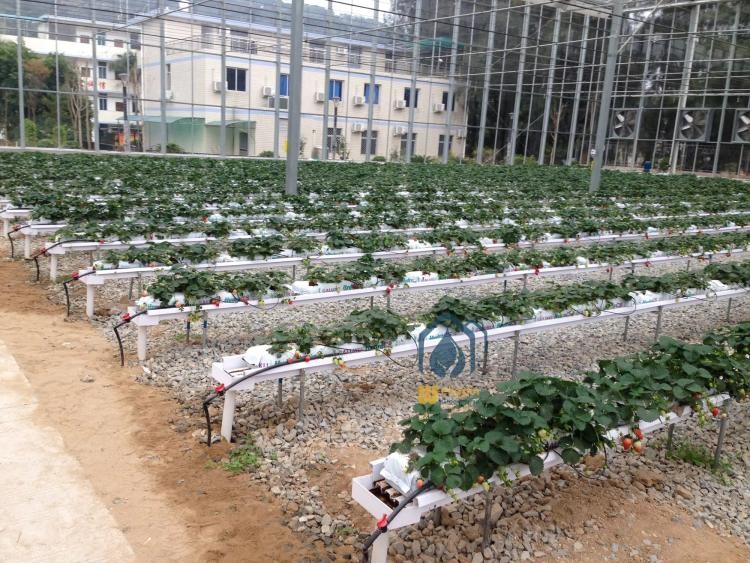 Vertical Planting PVC Substrate Grow Gutter Hydroponic Pepper Tomato Plant Trough
