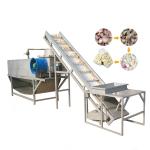 300-1000kg/h Vegetables Fruit Washing Machine 304 Stainless Steel