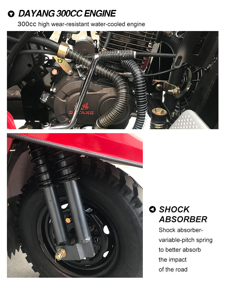 800W 3 Wheels Motorcycle Tricycle with Customized Body Clearance and Hydraulic Power