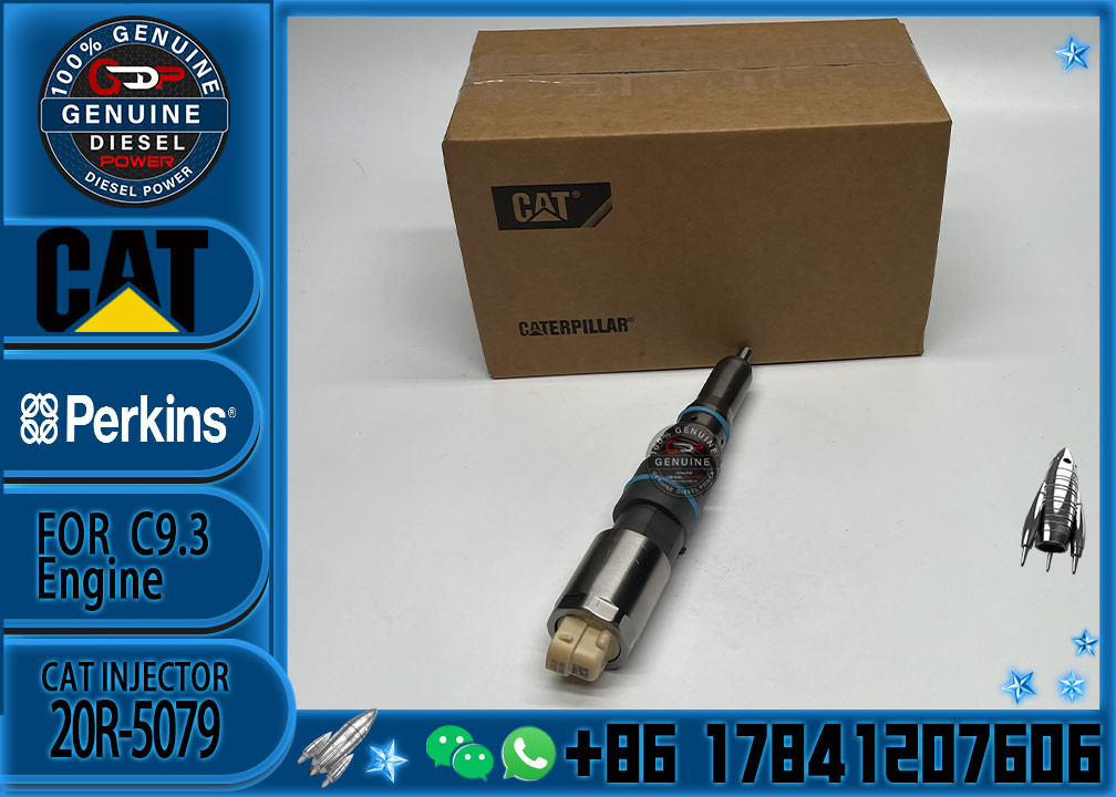 Diesel Fuel Common Rail Injector For456-3493 4563493 456-3544 20R-5079 for C9.3 Cat Excavator 336E 336F C7 Diesel Engine