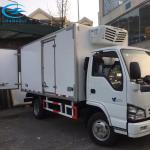 20ft Degree Refrigerated Storage Containers For Truck