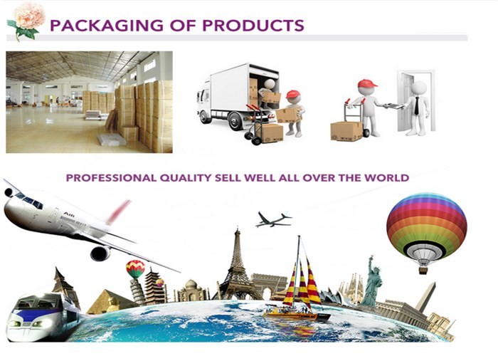 15ml 30ml 50ml 100ml Professional Empty Luxury Wholesale Plastic Lotion Bottles Cosmetic Bottle
