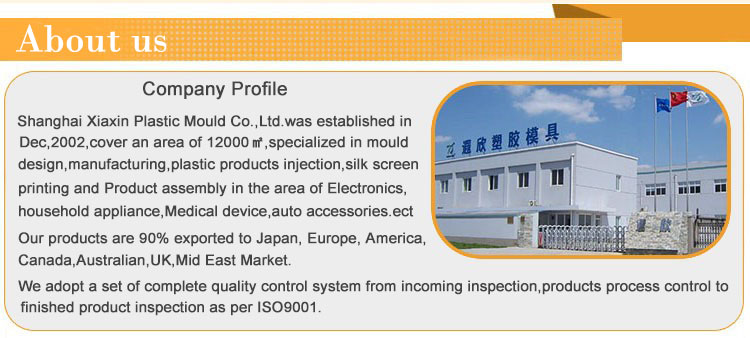 AS PPSN PBT Bathtub Home Appliance Mould 800T Injection