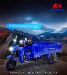 Motorized 800 W DAYANG 300 Petrol 3 Wheel Motorcycle and Tricycle for Heavy
