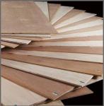 middle east market bintangor plywood high quality