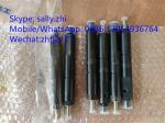original fuel injector, 4110000054219, engine spare parts for deutz engine