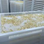 Various Color Plastic Drying Trays And Trolly Food Grade PPE Material 75 * 55 *