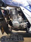 Truck Motorized Cargo 250cc Tricycles