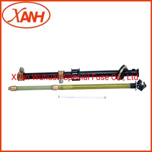 Quality Bayonet Tap Changer Switch Dual Element Fuse 40.5Kv Prnt4-40.5/40 wholesale