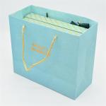 CMYK Printing Cosmetic Shopping Bag , 140g Makeup Paper Bag