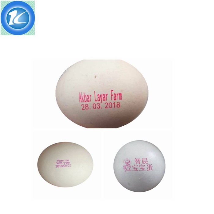 Automatic Jet Coding Machine Industrial Inkjet Barcode Printers On Egg Top And Sides