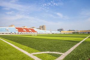 Quality SGS Certificate Artificial Turf Grass Synthetic Carpet Football Court wholesale