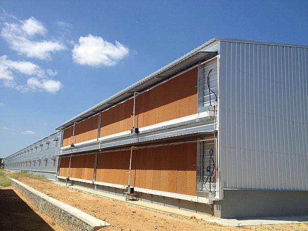 Customizable Eco Friendly Pre Engineered Steel Building Commercial PEB Steel