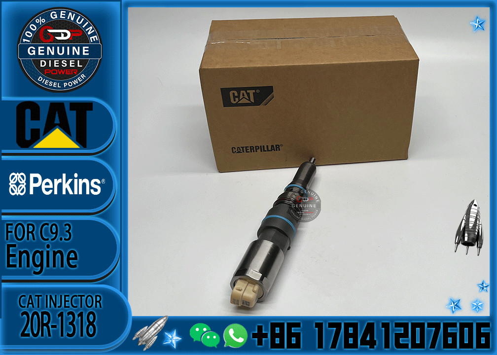 Common Rail Fuel Injector 456-3493 20R-5036 456-3509 456-3544 20R-5079 363-0493 367-4293 20R-1318 For Cat 336E C9.3