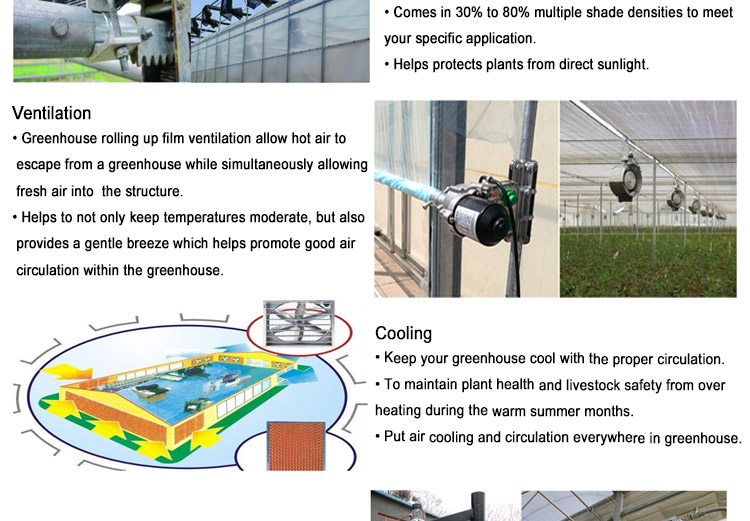 PC Sheet Cover Material Multi-Span Agricultural Greenhouse for Vegetable Growing