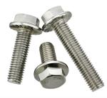 M6 M18 Stainless Steel Plain Metal Hexagon Flange Bolt SS304 SS316 A2 A4 DIN6921