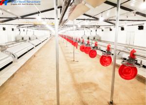 Quality Silo Galvanized Poultry House Equipment Automatic Broiler Chicken Poultry Farm wholesale